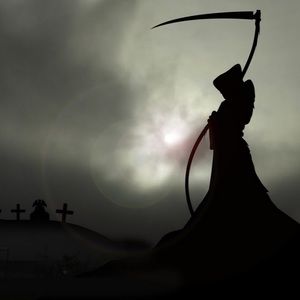 Meet your Posher, Aileen